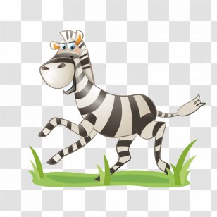 Zebra Wall Decal Sticker Child - Bedroom Transparent PNG
