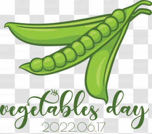 Plant Stem Banana Vegetable Superfood Fruit Transparent PNG