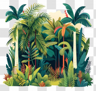 Tropical Forest - Lush Green Tropical Rainforest Illustration Transparent PNG