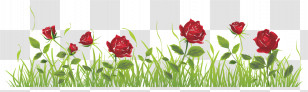 Rose Bush - Red Roses Growing In Green Grass Transparent PNG