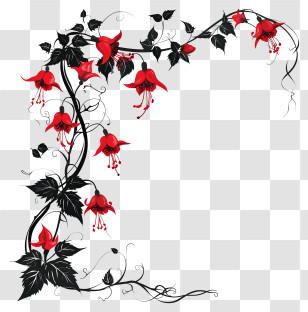 Flower Silhouette - Red And Black Floral Frame Transparent PNG