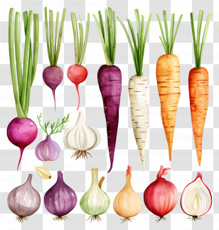 Vegetables - Assorted Fresh Vegetables Illustration Transparent PNG