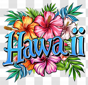 Hawaii - Hawaii Tropical Flowers Illustration Transparent PNG