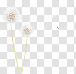Decoupage Sticker Idea Clip Art - Cut Flowers - Pink Dandelion Transparent PNG