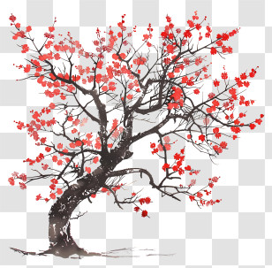 Blossom Tree - Cherry Blossom Tree With Bright Red Flowers Transparent PNG