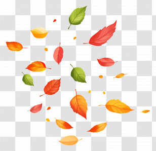 Autumn Leaves - Falling Autumn Leaves Illustration Transparent PNG