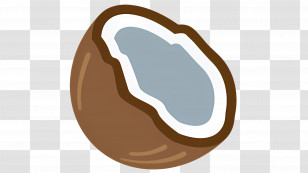 Coconut - Coconut Half Illustration Transparent PNG
