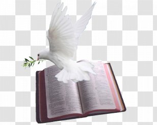 Holy Spirit Bible Doves As Symbols Fire - Prayer - HOLY WEEK ...