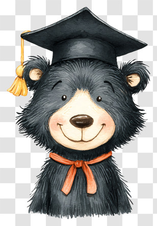 Cute Bear With Graduation Hat - Graduation Bear With Cap Transparent PNG