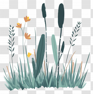 Lawn Grass - Cattails And Wildflowers Illustration Transparent PNG