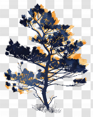Pine Tree Silhouette - Stylized Pine Tree Illustration Transparent PNG