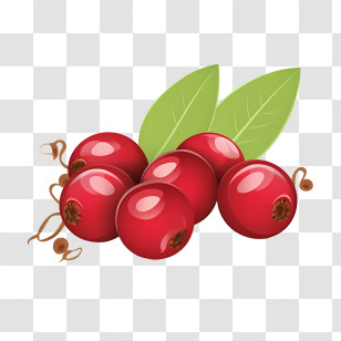 Cranberries - Fresh Red Cranberries With Green Leaves Transparent PNG