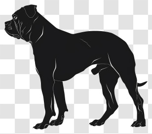 Dog Silhouette - Black Dog Silhouette Illustration Transparent PNG