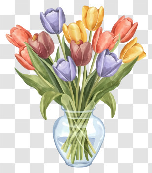 Cartoon - Colorful Tulips In Transparent Glass Vase Transparent PNG