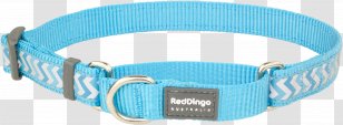 Turquoise Martingale Dog Collar Dingo Transparent PNG