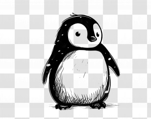 Penguin - Cute Penguin Doodle Illustration Transparent PNG