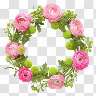 Ranunculus Chrysanthemums Wreath - Pink And Green Floral Wreath Transparent PNG