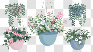 Hanging Flowers - Hanging Flower Pots With Blooming Plants Transparent PNG