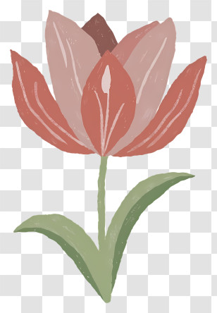 Cartoon - Red Tulip Flower Illustration With Green Leaves Transparent PNG
