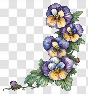 Viola Border - Purple Pansies With Green Leaves Transparent PNG