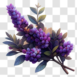 Lavender Art - Purple Flowers With Leaves Transparent PNG