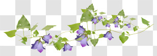 Flower Border - Purple Bell Flowers Vine Illustration Transparent PNG