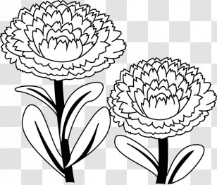 Floral Design Calendula Officinalis Coloring Book Drawing - Leaf - Flower Transparent PNG