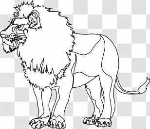 Lion African Elephant Mammal Indian Cat - Horse Like Transparent PNG