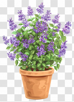 Lilac Flowers - Lush Potted Lavender Plant Transparent PNG