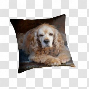 English Cocker Spaniel Dog Breed Puppy Sporting Group Companion Transparent PNG