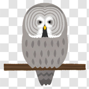 Bird - Gray Owl On A Branch Transparent PNG