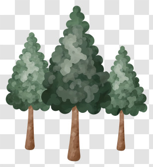 Trees - Green Pine Trees In Nature Transparent PNG