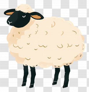 Sheep - Cute Sheep Illustration With Fluffy Wool Transparent PNG