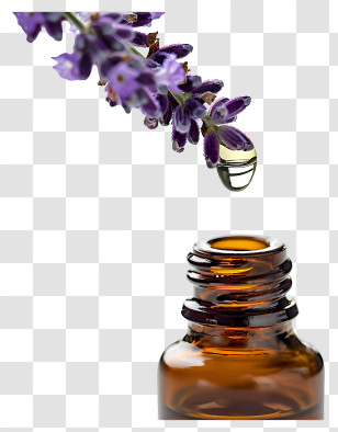 Essential Oil - Lavender Essential Oil Drop Transparent PNG