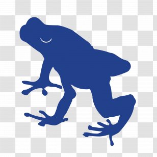 Silhouette Tree - Hyla Transparent PNG