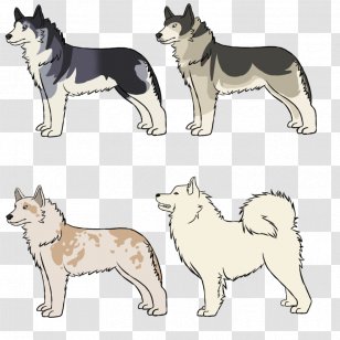 Siberian Husky Saarloos Wolfdog East Laika Alaskan Malamute West - Sakhalin - Drawing Transparent PNG