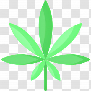 Cannabis Leaf - Bright Green Cannabis Leaf Illustration Transparent PNG