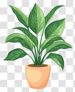 Houseplant - Potted Green Indoor Plant Transparent PNG