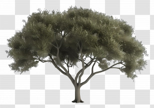 Animated Tree - Realistic Green Tree Illustration Transparent PNG