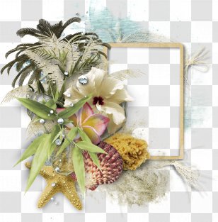 Cut Flowers Floral Design - Plant - Starfish Transparent PNG