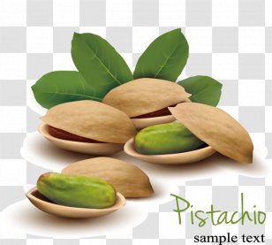 Pistachio Nut Euclidean Vector Illustration - Peanut - Pistachios Transparent PNG