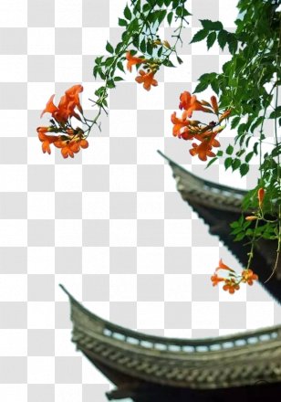 Mangzhong Bailu Liqiu Solar Term Xiaoman - Green Background Transparent PNG