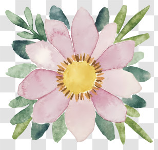 Watercolor Painting - Beautiful Pink Flower With Green Leaves Transparent PNG