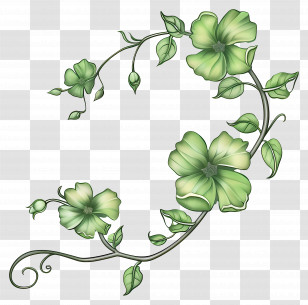 Green Flower - Elegant Green Floral Design With Vines Transparent PNG