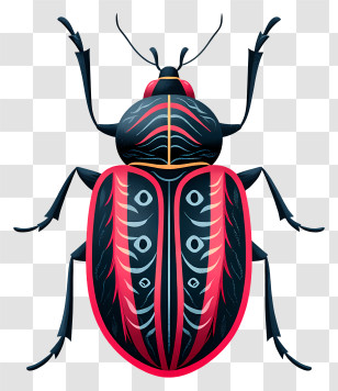 Black Beetle Insect - Colorful Beetle With Patterns Illustration Transparent PNG