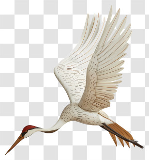 Crane - Flying Crane Bird Illustration Transparent PNG