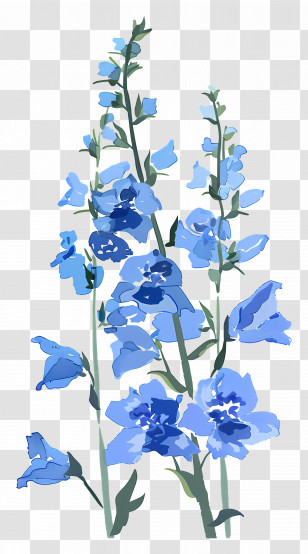Delphinium - Blue Flowering Plant Illustration Transparent PNG