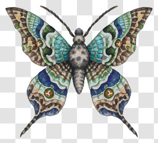 Cartoon - Colorful Butterfly Detailed Illustration Transparent PNG