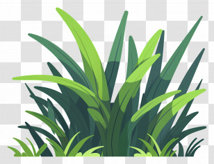 Grass Patch - Green Grass Bush Illustration Transparent PNG