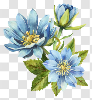 Watercolor Painting - Beautiful Blue Flowers With Leaves Transparent PNG